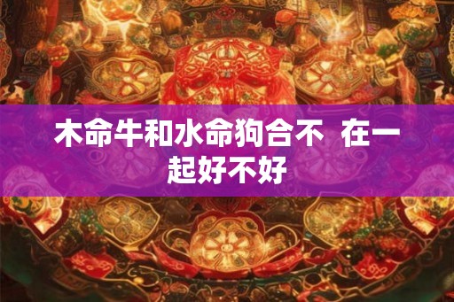木命牛和水命狗合不  在一起好不好