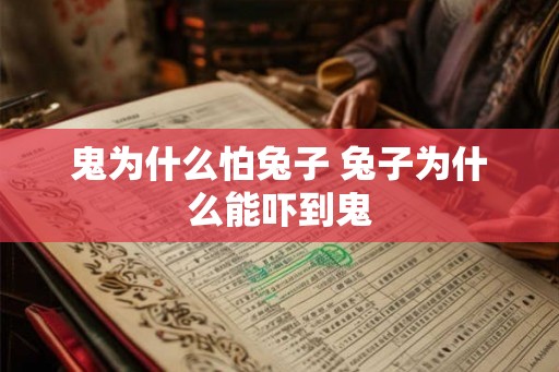 鬼为什么怕兔子 兔子为什么能吓到鬼 鬼为什么怕兔子 兔子为什么能吓到鬼