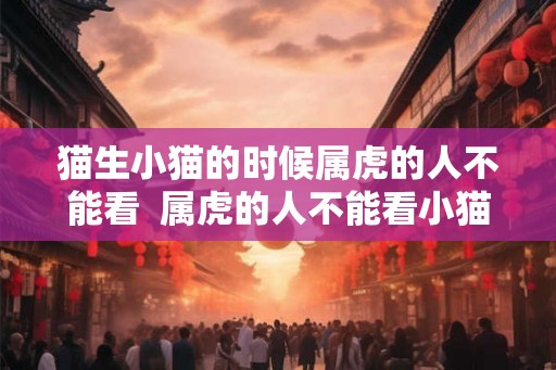 猫生小猫的时候属虎的人不能看  属虎的人不能看小猫