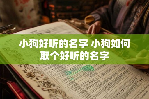 小狗好听的名字 小狗如何取个好听的名字