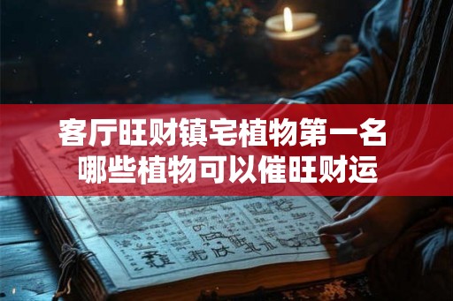 客厅旺财镇宅植物第一名 哪些植物可以催旺财运