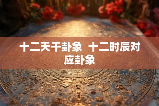 十二天干卦象  十二时辰对应卦象