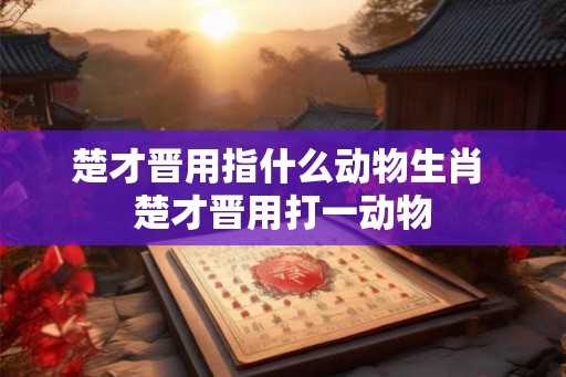 楚才晋用指什么动物生肖 楚才晋用打一动物