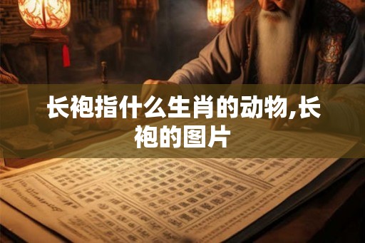 长袍指什么生肖的动物,长袍的图片