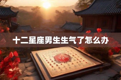十二星座男生生气了怎么办