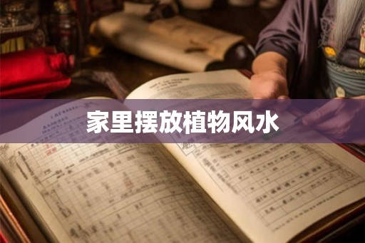 家里摆放植物风水