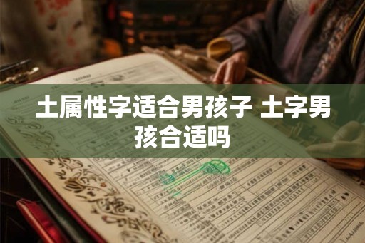 土属性字适合男孩子 土字男孩合适吗