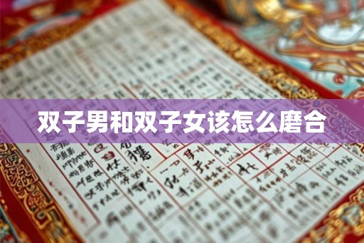 双子男和双子女该怎么磨合