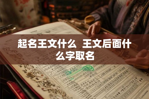 起名王文什么  王文后面什么字取名