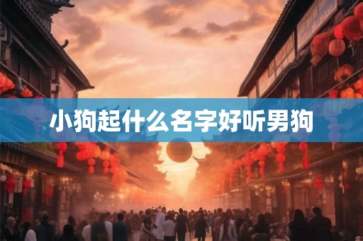 小狗起什么名字好听男狗 小狗起什么名字好听男狗