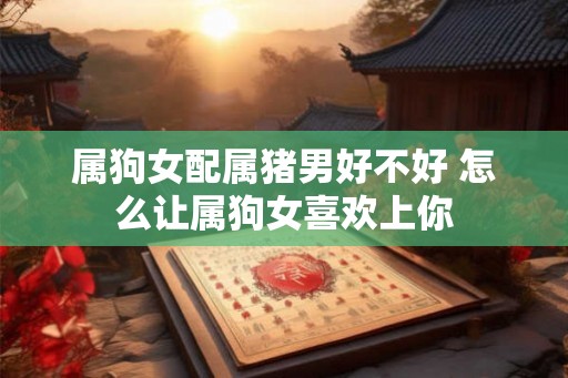 属狗女配属猪男好不好 怎么让属狗女喜欢上你