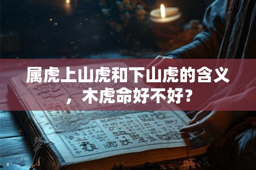 属虎上山虎和下山虎的含义，木虎命好不好？