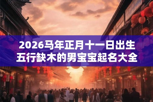 2026马年正月十一日出生五行缺木的男宝宝起名大全