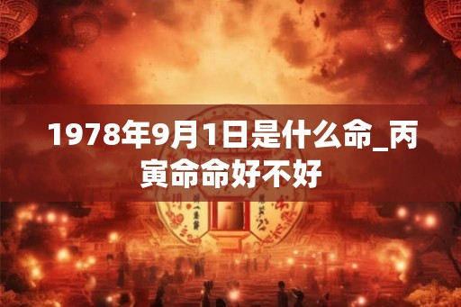 1978年9月1日是什么命_丙寅命命好不好