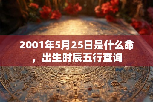 2001年5月25日是什么命，出生时辰五行查询