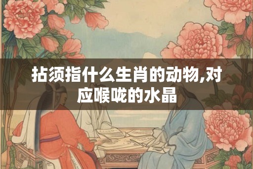 拈须指什么生肖的动物,对应喉咙的水晶