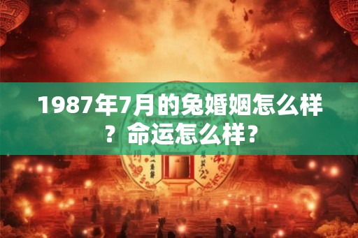 1987年7月的兔婚姻怎么样？命运怎么样？