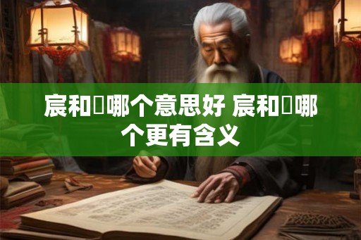 宸和莀哪个意思好 宸和莀哪个更有含义