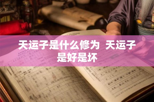 天运子是什么修为  天运子是好是坏