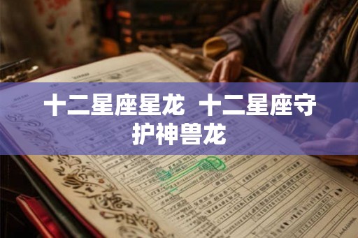 十二星座星龙  十二星座守护神兽龙