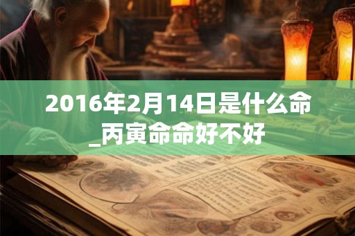 2016年2月14日是什么命_丙寅命命好不好