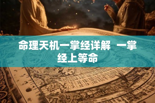 命理天机一掌经详解 一掌经上等命 命理天机一掌经详解 一掌经上等命
