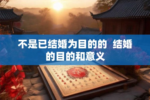 不是已结婚为目的的  结婚的目的和意义