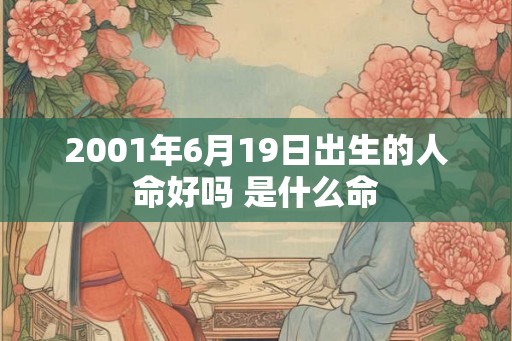 2001年6月19日出生的人命好吗 是什么命