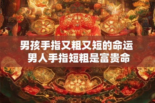 男孩手指又粗又短的命运  男人手指短粗是富贵命
