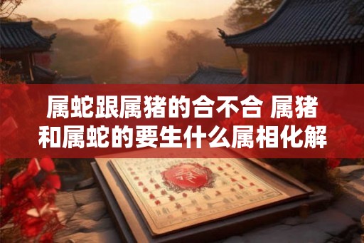 属蛇跟属猪的合不合 属猪和属蛇的要生什么属相化解