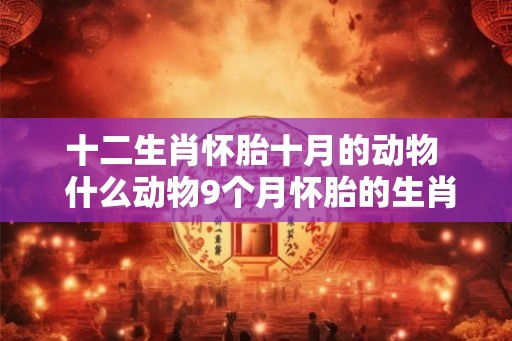十二生肖怀胎十月的动物  什么动物9个月怀胎的生肖