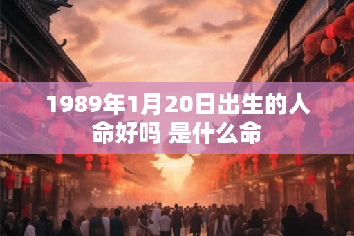 1989年1月20日出生的人命好吗 是什么命 1989年1月20日出生的人命好吗 是什么命