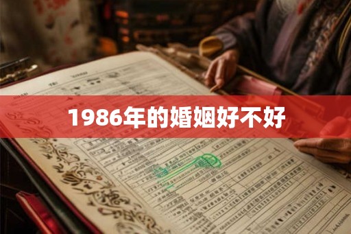 1986年的婚姻好不好