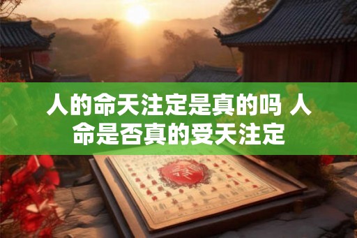 人的命天注定是真的吗 人命是否真的受天注定