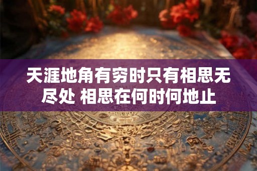 天涯地角有穷时只有相思无尽处 相思在何时何地止