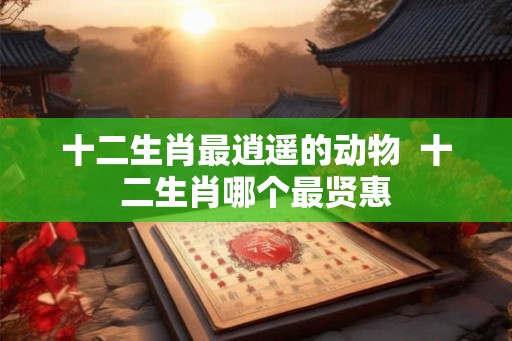 十二生肖最逍遥的动物  十二生肖哪个最贤惠