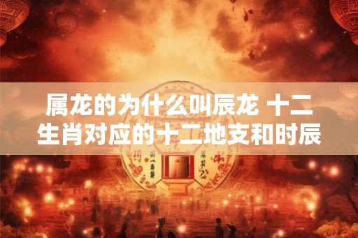 属龙的为什么叫辰龙 十二生肖对应的十二地支和时辰
