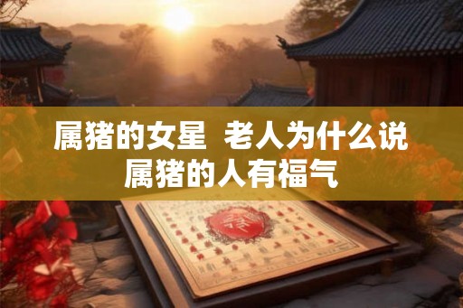 属猪的女星  老人为什么说属猪的人有福气
