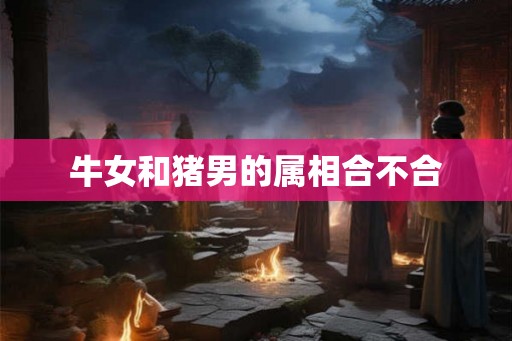牛女和猪男的属相合不合