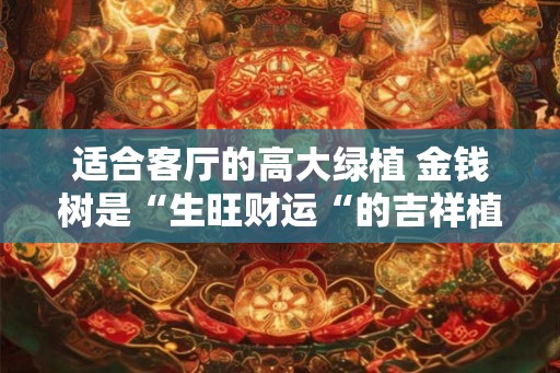 适合客厅的高大绿植 金钱树是“生旺财运“的吉祥植物