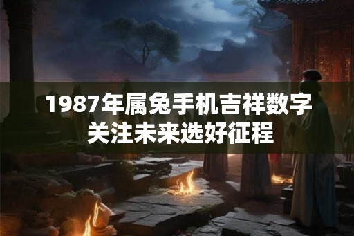 1987年属兔手机吉祥数字 关注未来选好征程