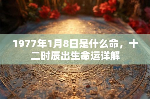 1977年1月8日是什么命，十二时辰出生命运详解