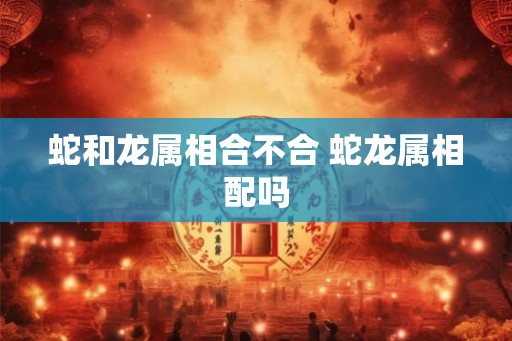 蛇和龙属相合不合 蛇龙属相配吗