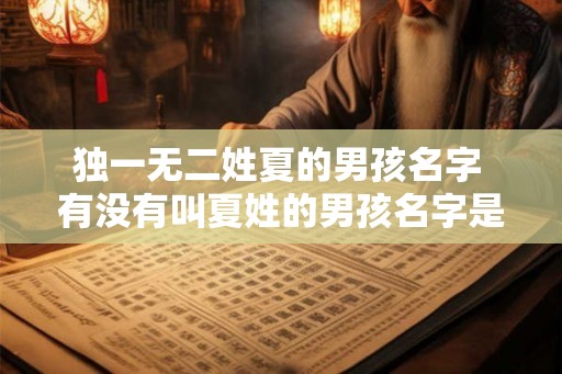 独一无二姓夏的男孩名字 有没有叫夏姓的男孩名字是独一无二的