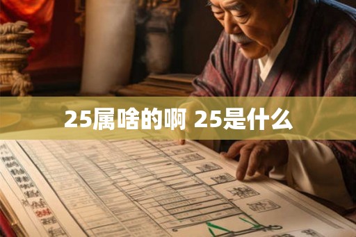 25属啥的啊 25是什么