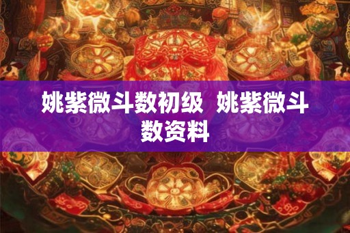 姚紫微斗数初级  姚紫微斗数资料