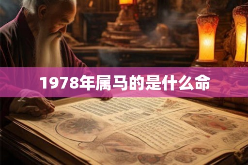 1978年属马的是什么命 1978年属马的是什么命