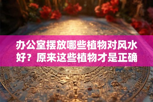 办公室摆放哪些植物对风水好？原来这些植物才是正确的