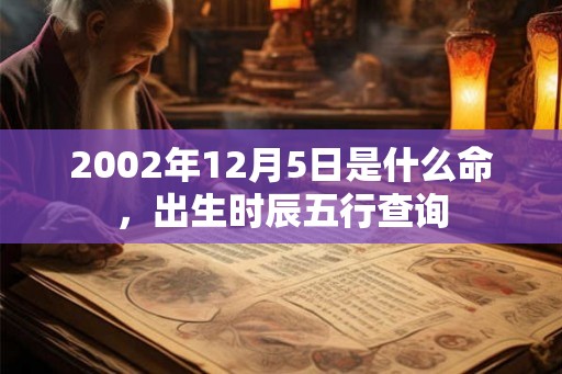 2002年12月5日是什么命，出生时辰五行查询