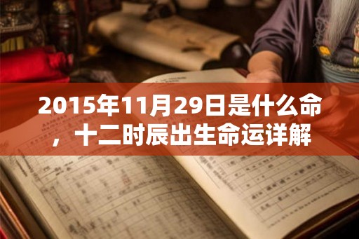 2015年11月29日是什么命，十二时辰出生命运详解